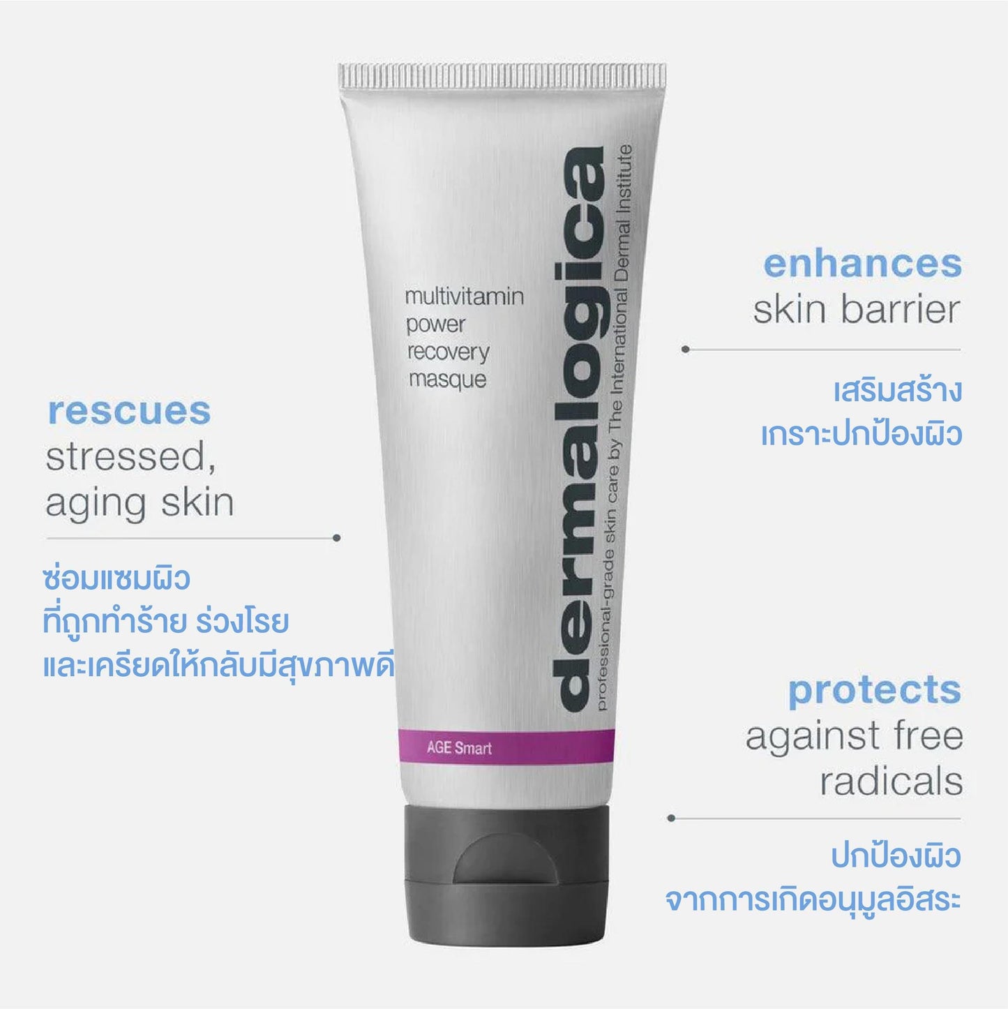 multivitamin power recovery masque - Dermalogica Thailand