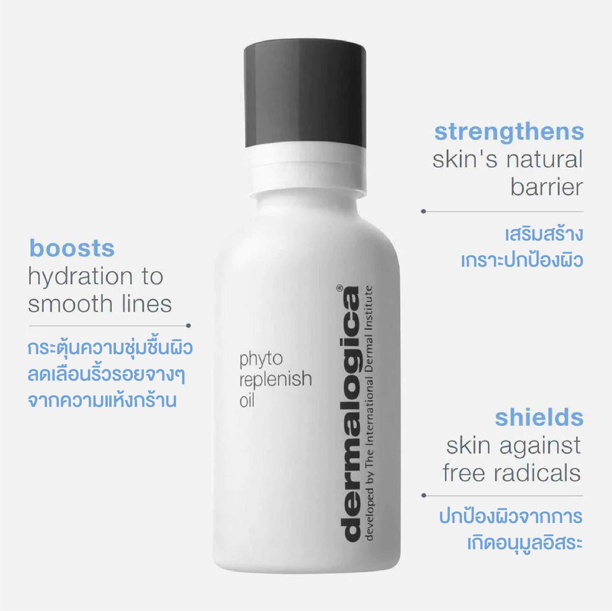 phyto replenish oil - Dermalogica Thailand