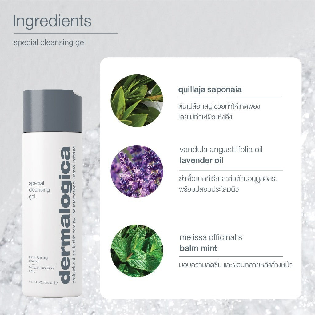 Dermalogica เซ็ตล้างหน้าผิวขายดีอันดับ 1[Special Cleansing Gel 250 ml + Travel size 50ml]